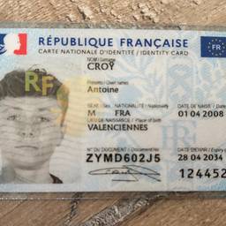 French ID Card Date Edit