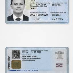 French ID Card Text Edit