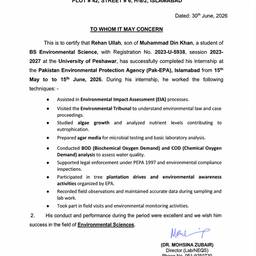 Realistic Certificate Scan