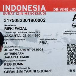Driving License Birth Year Edit