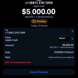 Apple Pay Screenshot Edit