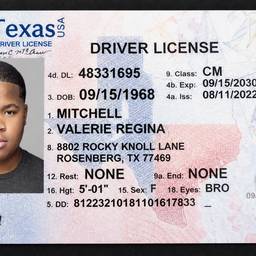 Driver's License Photo Cleanup