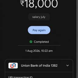 Payment Amount Edit