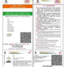 Antes - Editar ano de nascimento no Aadhaar