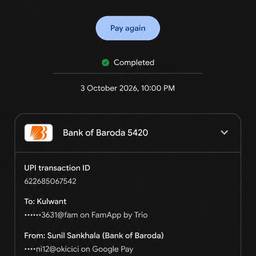 UPI Payment Date Edit