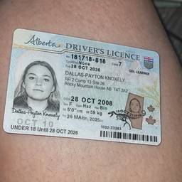 Alberta Driver's Licence Edit