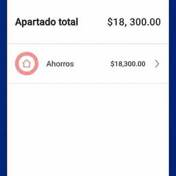 Edit App Balance Screenshot