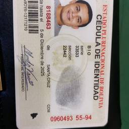 After - Bolivian ID Photo Swap