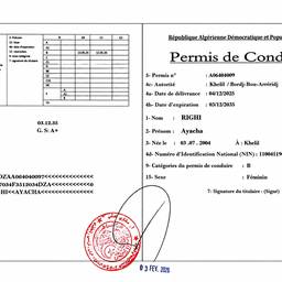 Clean Driving License Scan