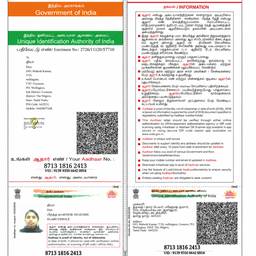 Depois - Editar ano de nascimento no Aadhaar