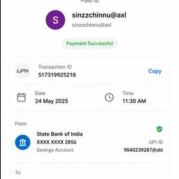 UPI Payment Success Screenshot
