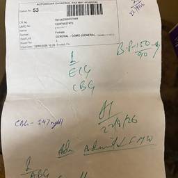 After - Hospital Document Redaction