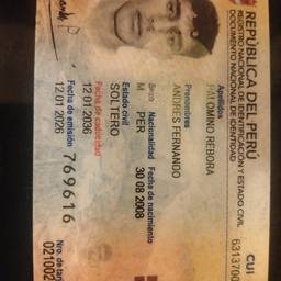 After - ID Card Date Edit