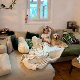 Depois - Adicionar Cachorro à Foto