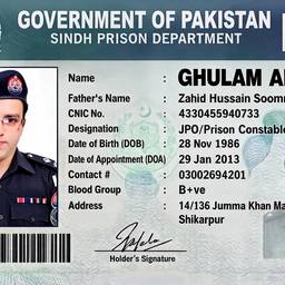 ID Card Photo Swap