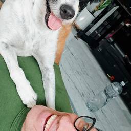 Green Shirt Dog Selfie