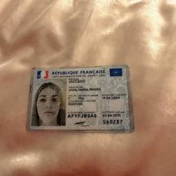 After - French ID Card Date Edit