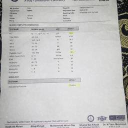 Medical Report Age Edit