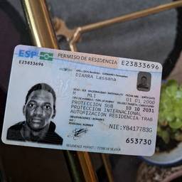 Residence Permit Date Edit