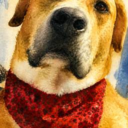Watercolor Dog Portrait