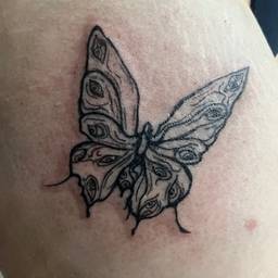 Before - Butterfly Tattoo Flash Effect