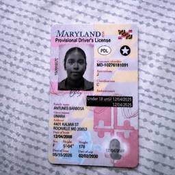 Driver's License Date Edit