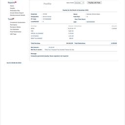 Before - Payslip Salary Edit