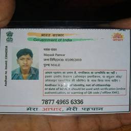 Aadhaar Year Edit