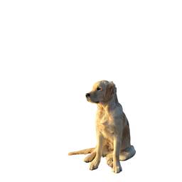 After - Golden Retriever Cutout