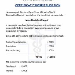 Hospital Invoice PDF