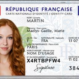 French ID Card Photo Swap