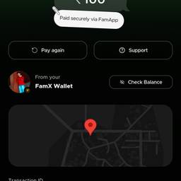 Before - Failed UPI Payment Screenshot