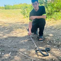 Avant - Remplacer un Objet dans une Photo