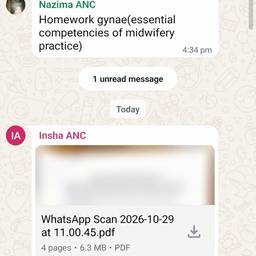 WhatsApp Chat Message Edit