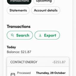 Bank Transaction Amount Edit