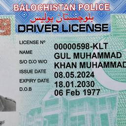 Driver License Enhancement