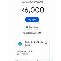 UPI Payment Receipt Edit