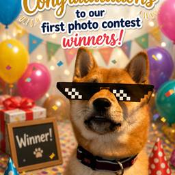 Pet Contest Winner Poster