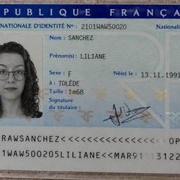 Realistic French ID Card