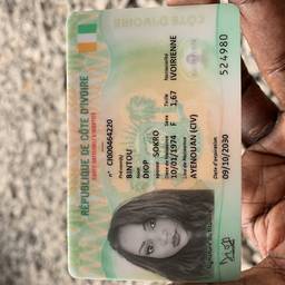 ID Card Photo Swap