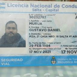 Edit Driver'S License Name AI - Free Online Tool | ImageGPT