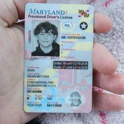 Driver's License Year Edit