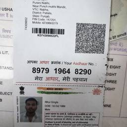 Aadhaar Card DOB Edit