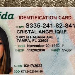 Florida ID Face Swap