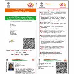Depois - Editar ano de nascimento no Aadhaar