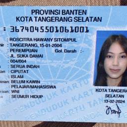 ID Card Birth Year Edit