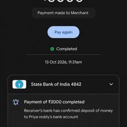 After - UPI Payment Amount Edit