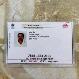 Voter ID DOB Edit