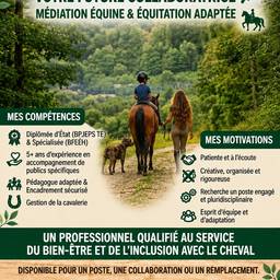 Equine Mediation Flyer