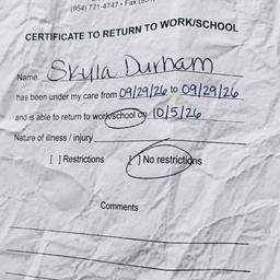 Crumpled Paper Document Effect